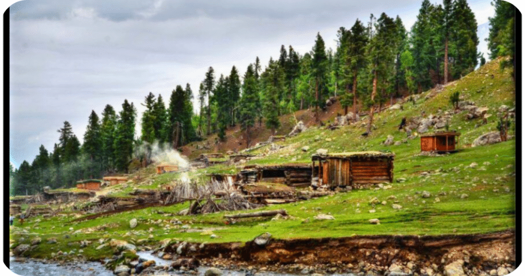 Beyal Camp with green meadows and Nanga Parbat in the background