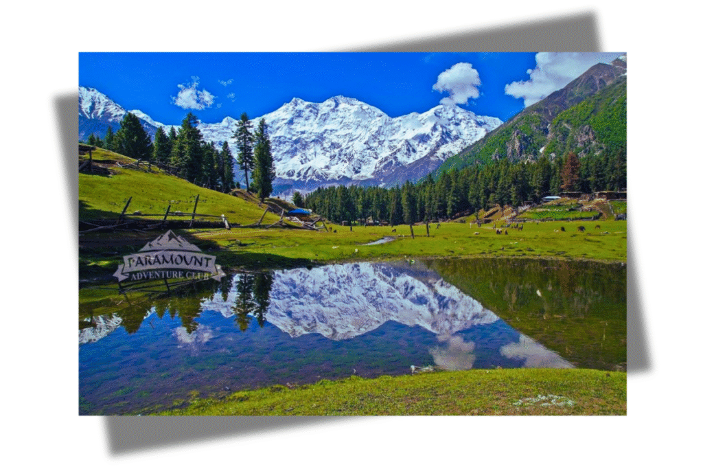 “Fairy Meadow with green meadows and Nanga Parbat in the background, famous tourist spot in Pakistan.”