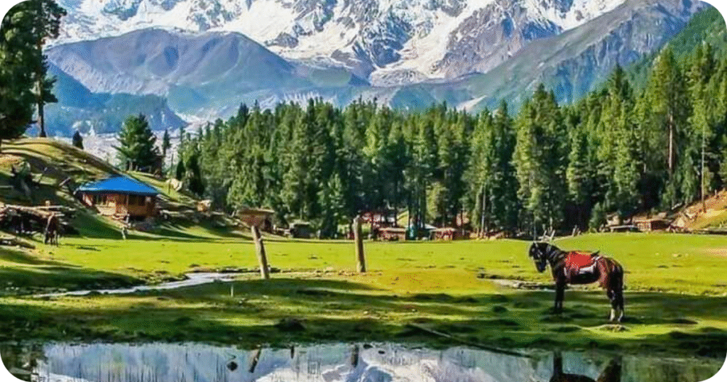 Scenic viewpoint at Fairy Meadows showing lush fields and snowy mountains