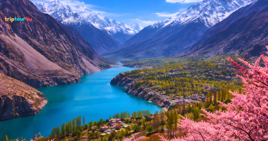 Scenic view of Hunza Valley in Pakistan with Attabad Lake, snow-capped mountains, and vibrant cherry blossoms under bright daylight.
