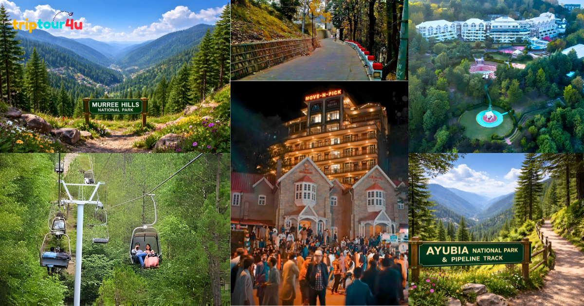 Top attractions in Murree include Mall Road, Patriata chairlift, Bhurban hotels, and Ayubia National Park.