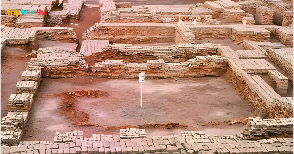 Ruins of the Assembly Hall at Mohenjo-daro, showing low brick walls outlining rectangular rooms and corridors around an open central area with a small signpost, set in an excavated archaeological site.