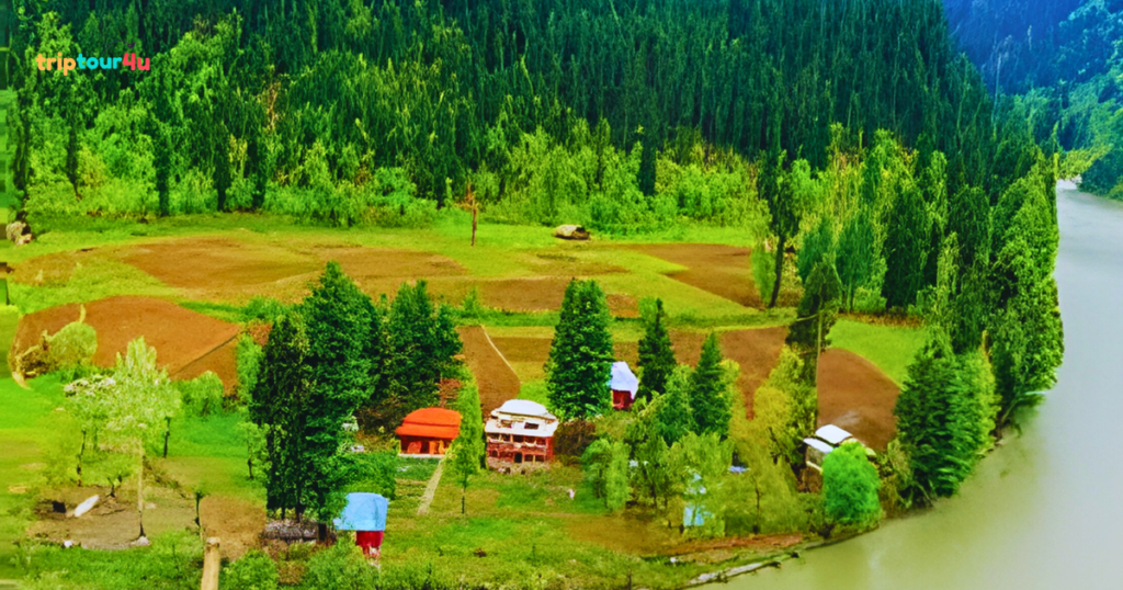 Dowarian village in Neelum Valley, Pakistan, showing green terraces, scattered houses, surrounding forests, and mountains, serving as a base point for treks and jeep routes.