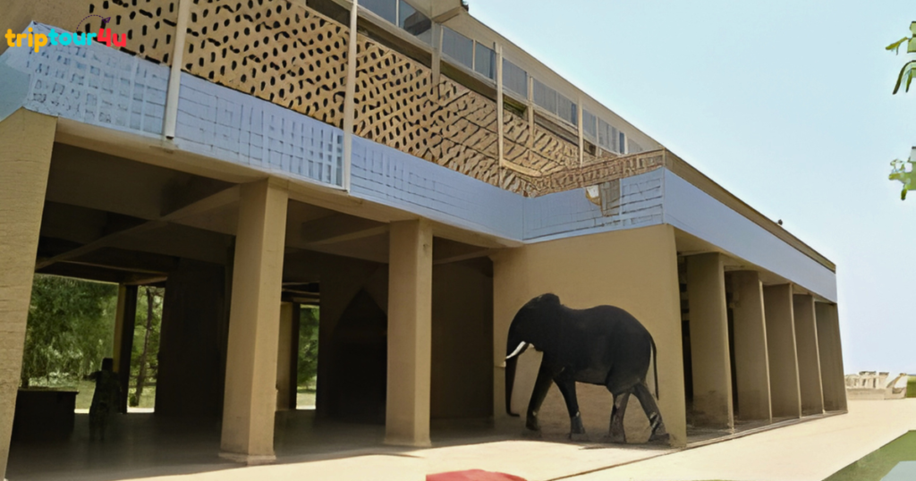Exterior view of the Mohenjo-Daro Museum in Sindh, Pakistan, showing modern architecture with pillars and a mural of an elephant, located near the ancient Indus Valley Civilization ruins.
