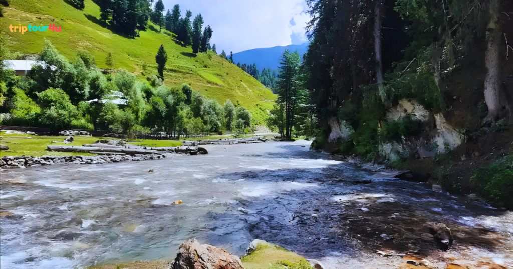 Taobat village in Neelum Valley, Pakistan, showing wooden houses, green meadows, surrounding mountains, and the Neelum River in a peaceful alpine setting.