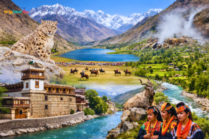 Scenic view of top Places to Visit in Chitral, including Kalash Valleys, Garam Chashma, Chitral Fort, and Shandur Pass.