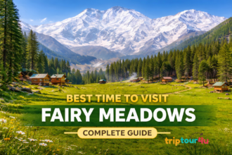 Scenic view of Fairy Meadows, Pakistan with lush green meadows, pine forests, and Nanga Parbat’s snow-capped peak in the background under a clear blue sky.