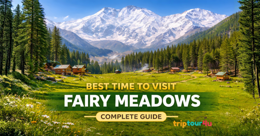 Scenic view of Fairy Meadows, Pakistan with lush green meadows, pine forests, and Nanga Parbat’s snow-capped peak in the background under a clear blue sky.