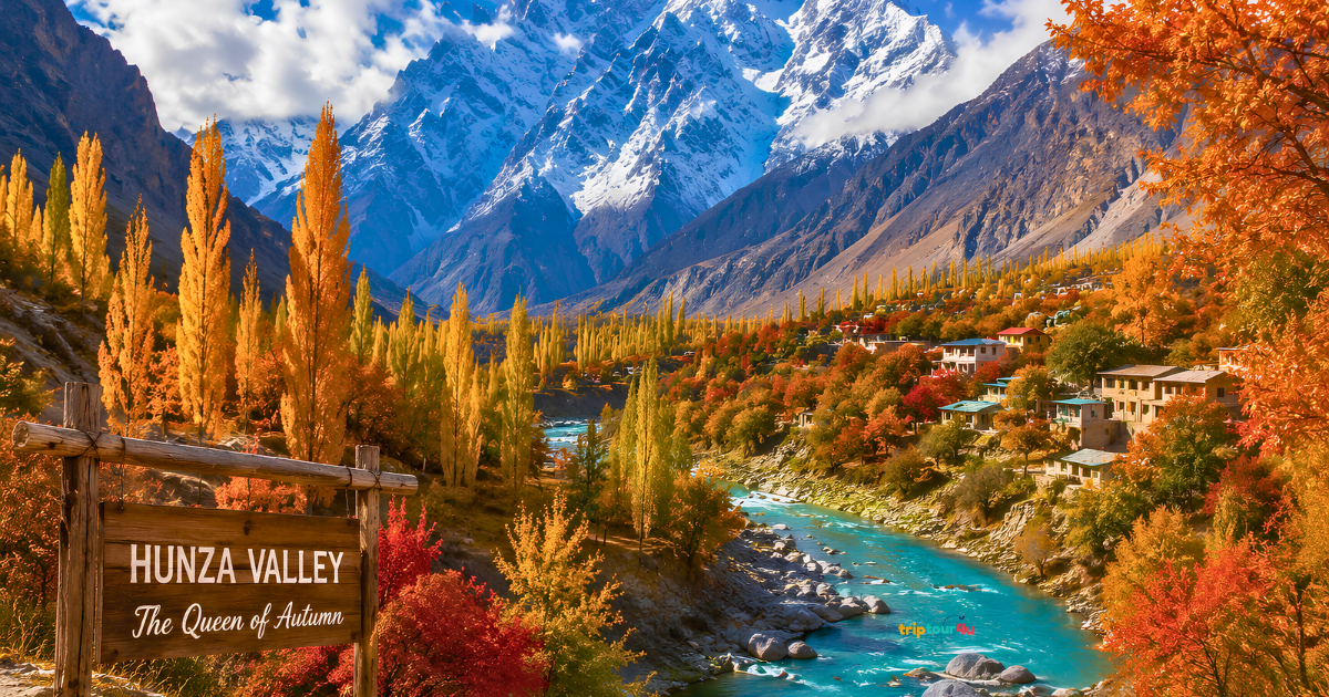 Complete Travel Guide to Hunza Valley (2026)