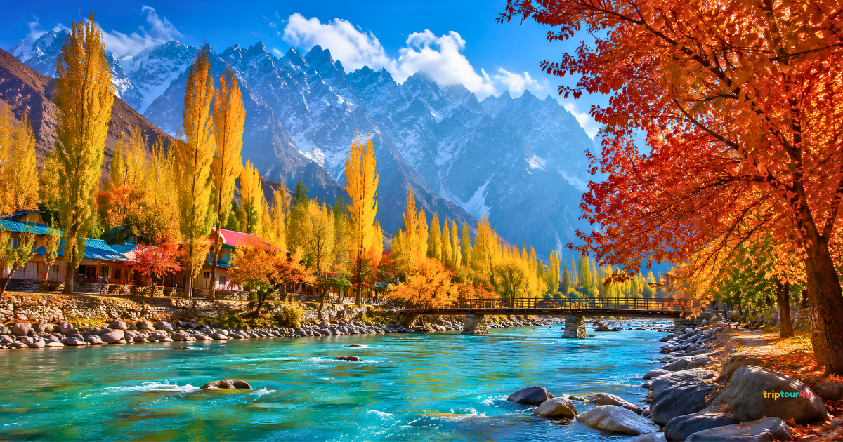 Autumn landscape in Northern Pakistan with golden trees, turquoise river, and snow-capped mountains under a clear blue sky.