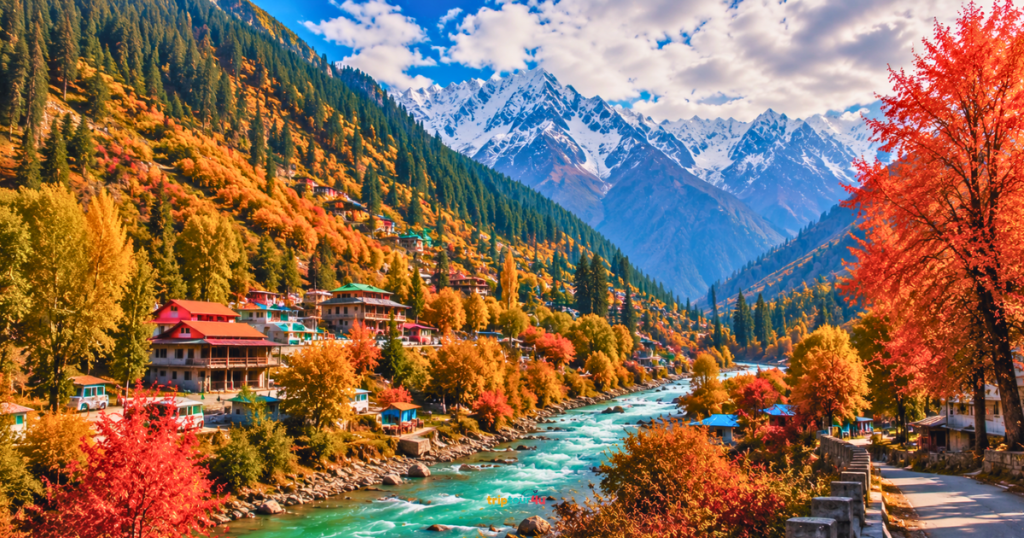 Fairy Meadows in Northern Pakistan with lush pine forests and green meadows.