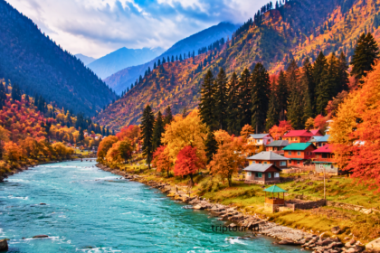 Best November Trips in Pakistan for Nature Lovers