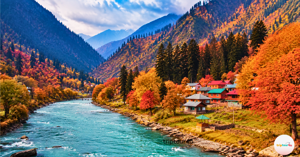 Best November Trips in Pakistan for Nature Lovers