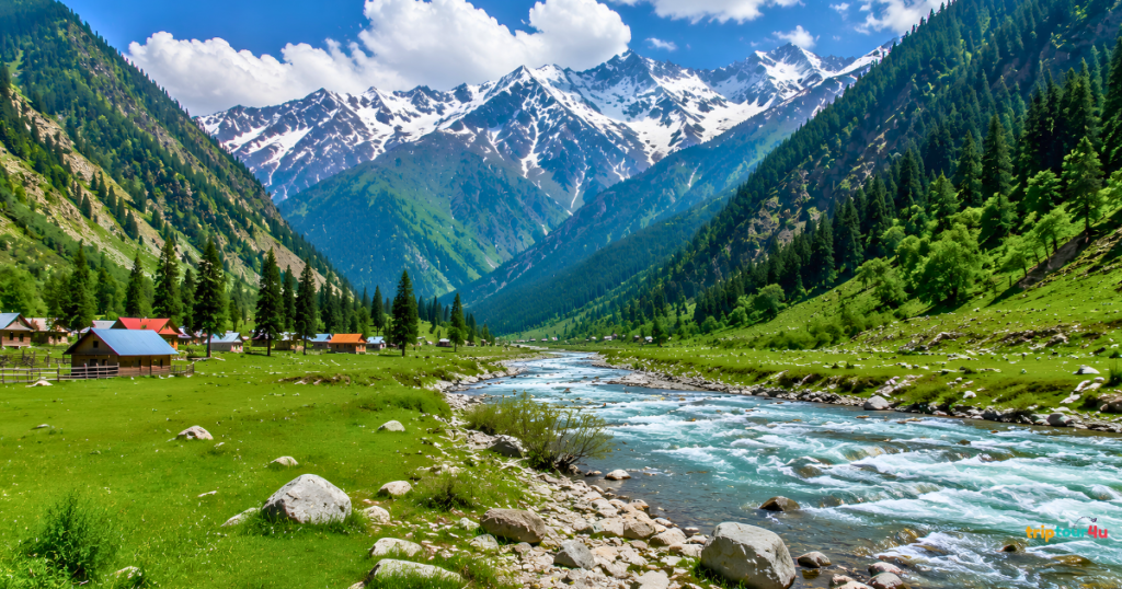 Shounter Valley in Azad Kashmir with a turquoise river, lush green meadows, dense pine forests, rustic cabins, and snow-capped mountains.